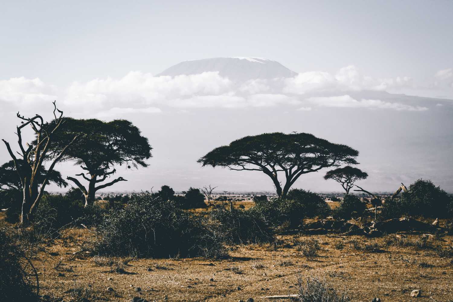 serengeti national park